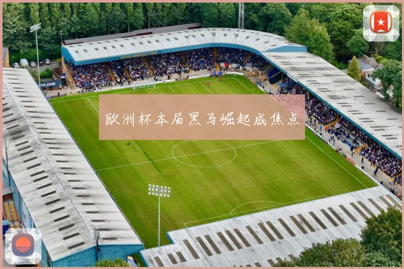 欧洲杯本届黑马崛起成焦点