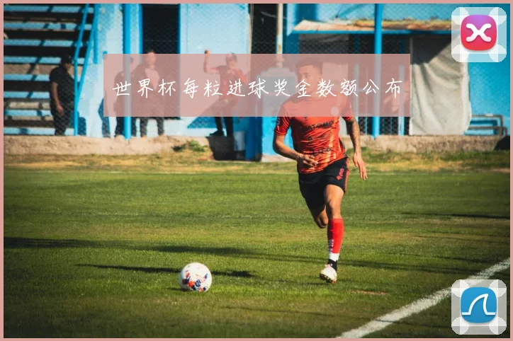 世界杯每粒进球奖金数额公布
