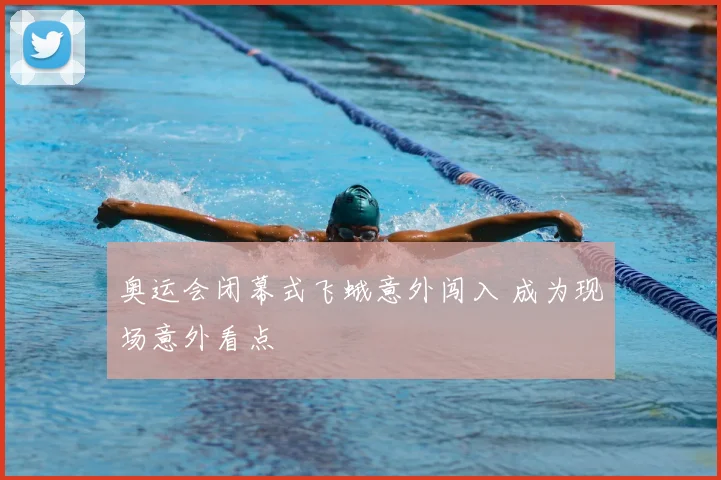 奥运会闭幕式飞蛾意外闯入 成为现场意外看点